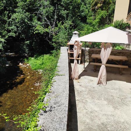 Apartamentos El Rincon De Limes Cangas De Narcea Exteriör bild