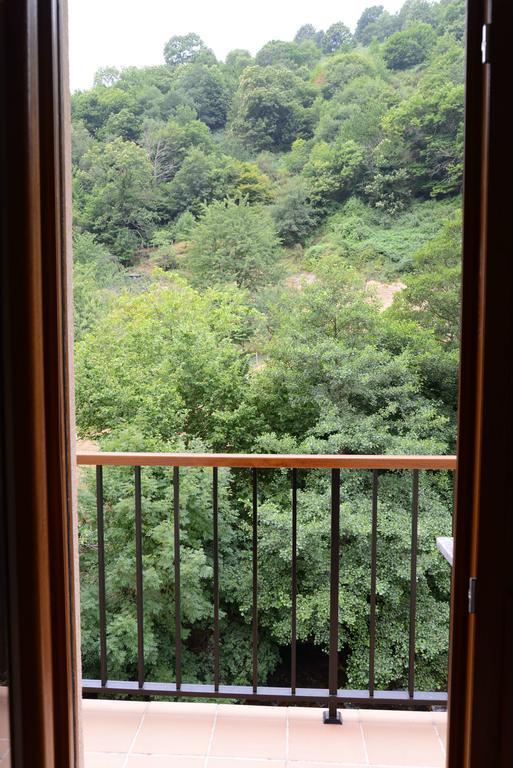 Apartamentos El Rincon De Limes Cangas De Narcea Rum bild