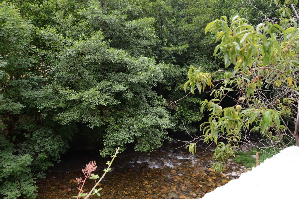 Apartamentos El Rincon De Limes Cangas De Narcea Rum bild