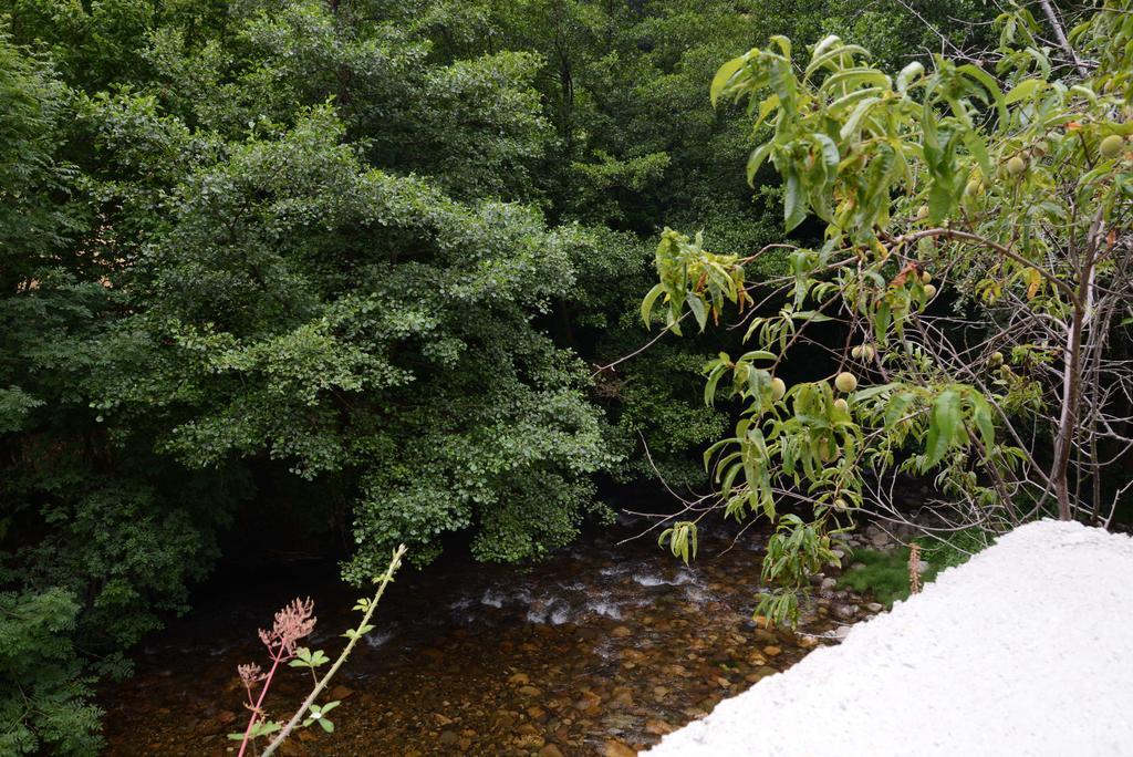 Apartamentos El Rincon De Limes Cangas De Narcea Rum bild