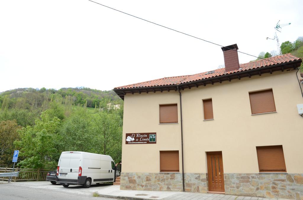 Apartamentos El Rincon De Limes Cangas De Narcea Exteriör bild