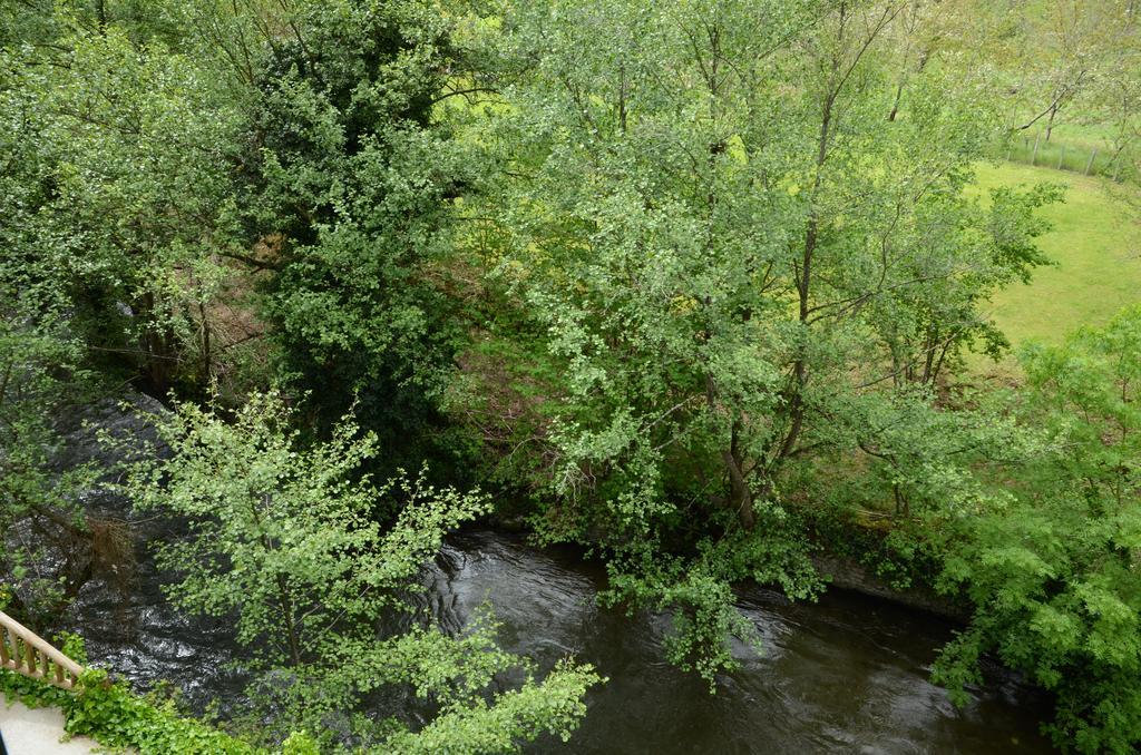 Apartamentos El Rincon De Limes Cangas De Narcea Exteriör bild
