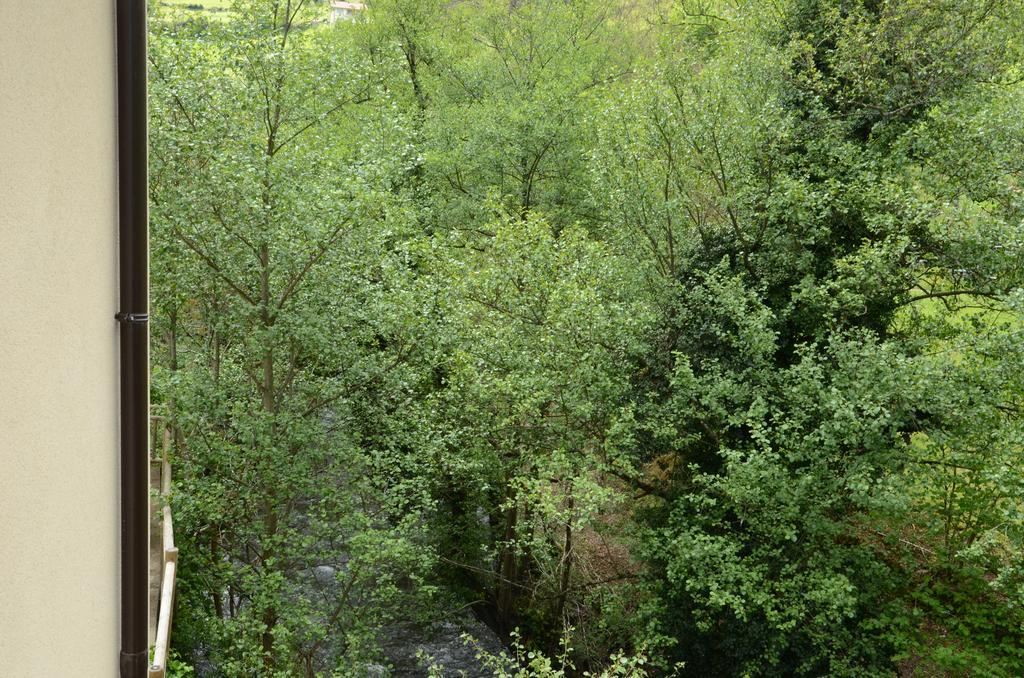 Apartamentos El Rincon De Limes Cangas De Narcea Exteriör bild