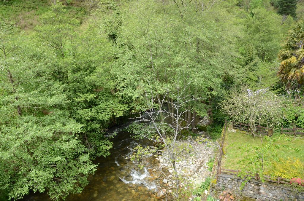 Apartamentos El Rincon De Limes Cangas De Narcea Exteriör bild