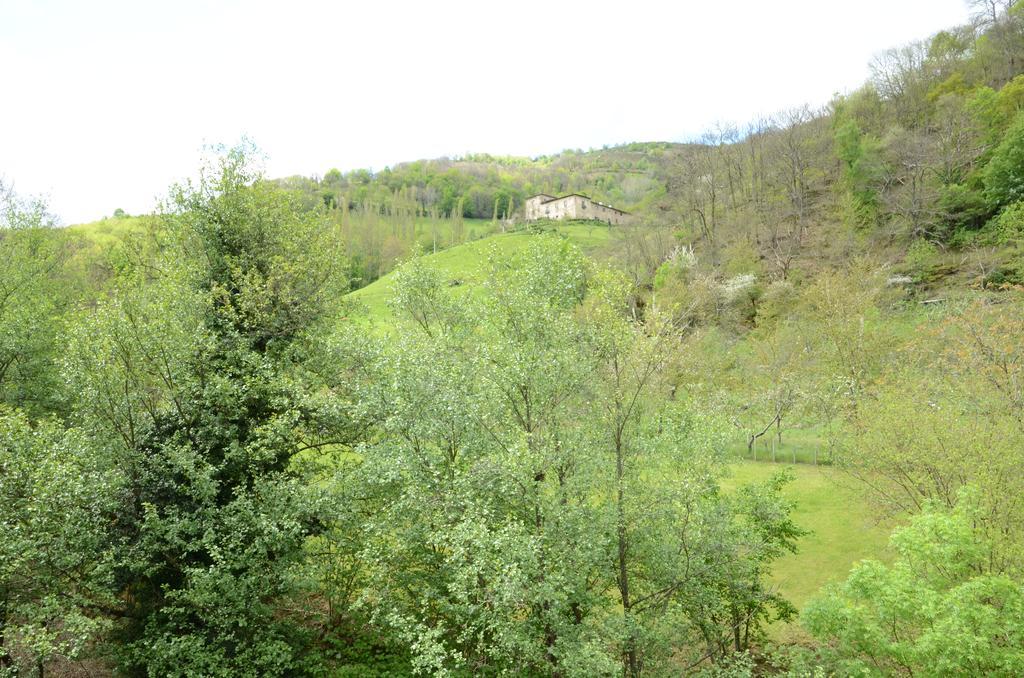 Apartamentos El Rincon De Limes Cangas De Narcea Exteriör bild